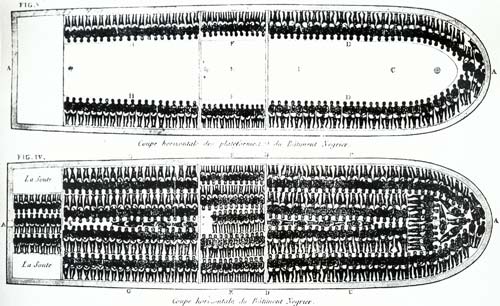 Diagram of the Brookes